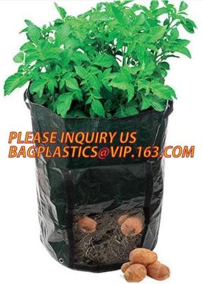 China Garden grow bag potato grow bag murphy bag PE fabric,40 / 50 / 100 / 200/300gallon durable heavy duty potato grow bag for sale