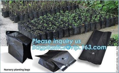 China Grow bag, planter bags, nursery bags, agro planting bag, seedling bag, spling bag, custom size, color, bales with logoes for sale