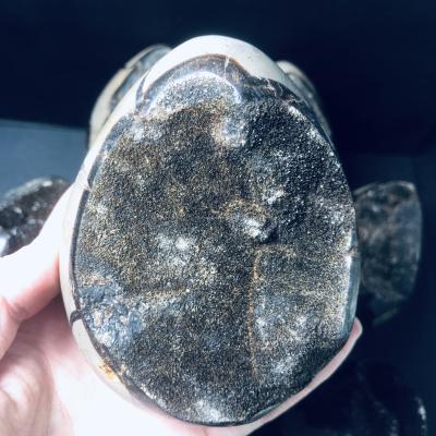 China Wholesale Natural Black Spiritual Rough Specimen Septarium China Geode Dragon Egg Crystal Septarium Crafts for sale