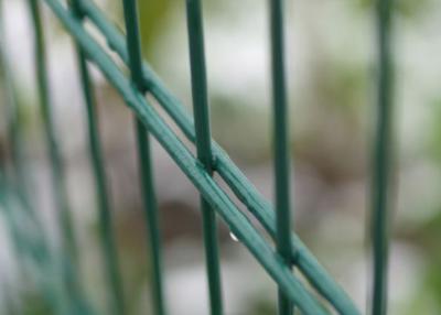 China ISO9001 868 Pvc Welded Mesh Fence Double Wire Fence 5mm Thickness for sale