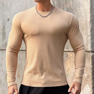 China Anti-Wrinkle Sports Fitness T-shirt Bottom Men's Trend Fashion Solid Color Long Sleeve Running Training Shirt for sale