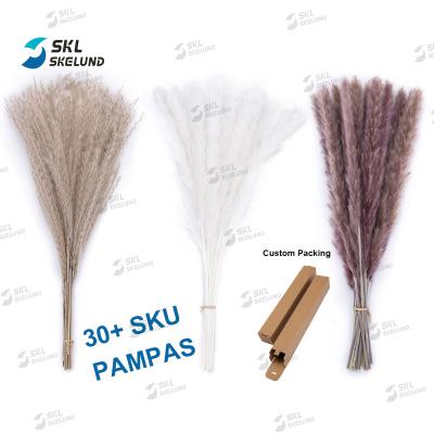 China Wholesale Pampas Grass Pampas Grass Large Dry Natural Pampas Grass Reed Flower Home Boho Decorative Artificial Decor Bouquet Pampas Grass for sale