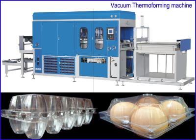 China PET Plastic sheet Egg Containers Vacuum Thermoforming Machine , big forming area for sale