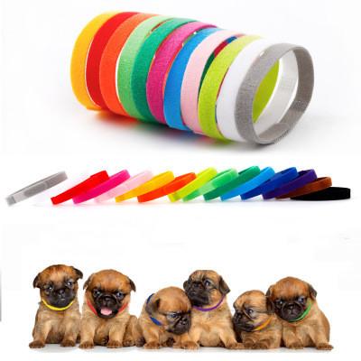 China DETACHED Pet ID Collar Baby Pet Personalized Tethers Adjustable Pet Collars for sale