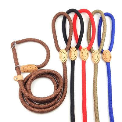 China Custom Thoughtful Designers Personalized Riding Long Nylon Dog Training Leash for sale