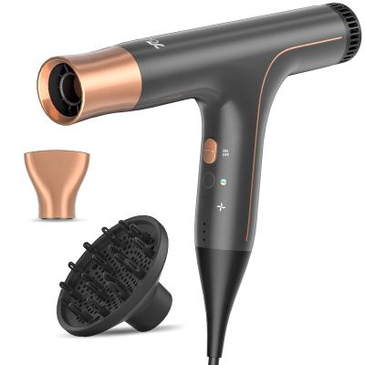 China New Design 2022 New Design Negative-Ion Ionic Blow Dryer Damage Protection Quick Drying Quiet Hair Dryer With Diffuser For Home And Travel for sale