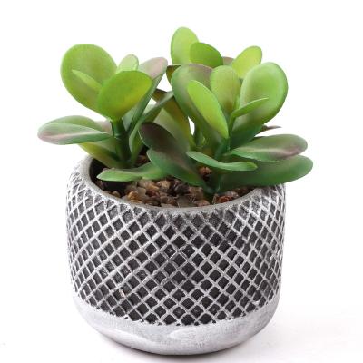 China Originally designed and high quality silk QingHong potted plants simulation artificial cement plastic plants for sale