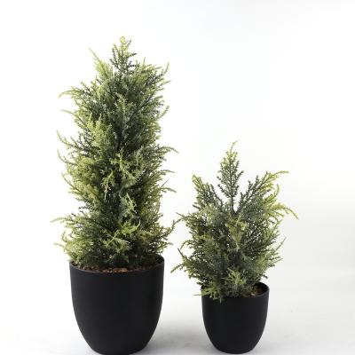 China New Design Mini Plants Natural Artificial Potted Fake Bonsai Plants Touch Green Grass In Black Plastic Pots For Decor for sale