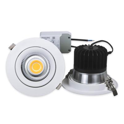 China Popular High Output 32w LED COB Downlight with CRI90 for sale