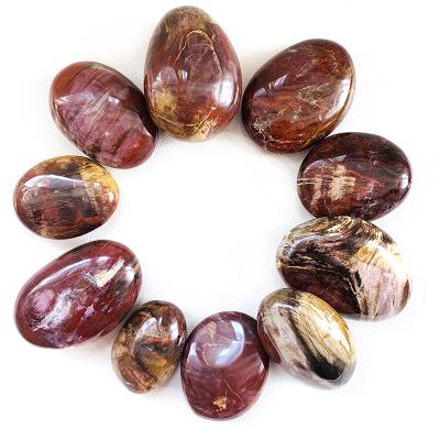 China Europe Wholesale Price Natural Lucky Healing Energy Crystal Petrified Wooden Palms for sale