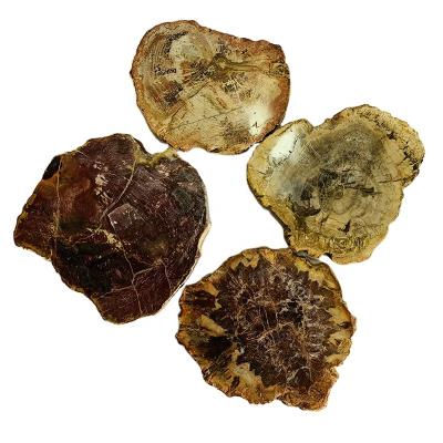 China Europe Wholesale Price Natural Crystal Crystal Slice Petrified Fossil Wood Slice for sale