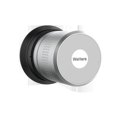 China Wholesale M530 Office Hotel Residence Wehere Factory For Israel Lock Cylinder Fingerprint Door Lock Keyless Electronic Smart Door Lock for sale