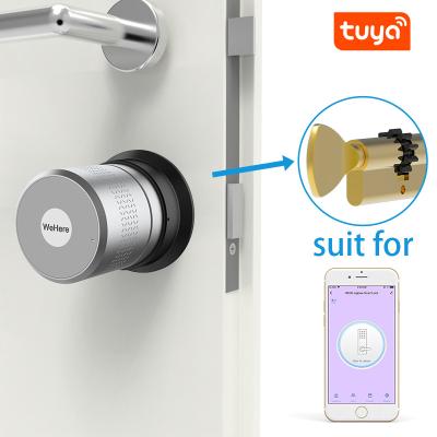 China Office Hotel Residence New Arrival M531 Motorcycle Large Force TUYA APP for Israel Lock Home Cylinder Alexa or Google Fingerprint Smart Door Lock for sale