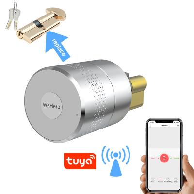 China Office hotel residence lock smart smart biometric fingerprint button wifi tuya round door lock by smart app fingerprint scanner sylinder lock for sale