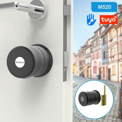 China Indoor Office Hotel Residence M521 Wifi Door Lock Tuya Lock Cylinder For Home High Security Fingerprint Door Lock Smart Digital Cylindrical Door Lock for sale