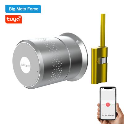 China Wholesale Factory M521 TUYA APP Lock Cylinders Length Adjustable Home Office Hotel Residence Alexa Or Google Fingerprint Smart Lock Door for sale