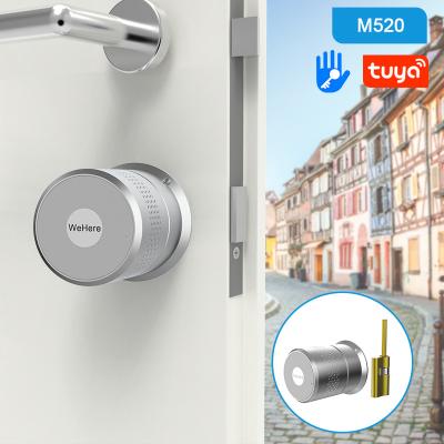 China TTlock M520 Adjustable Cylinder Length Metal Lock Body Bluetoot WiFi Indoor Office Hotel Residence Open Finger Cylinder Smart Door Locks for sale