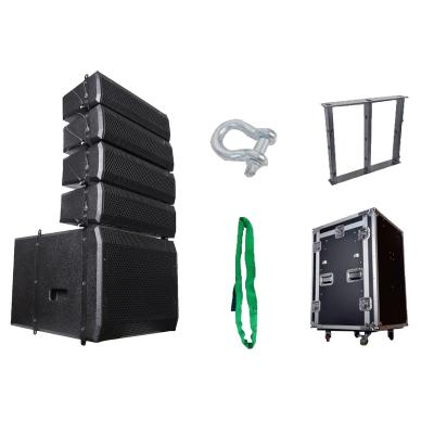 China DASN LA412D3-COMBO 1000W Non Powered Active Line Array Loudspeaker Speaker Concert Stage Sound System for sale