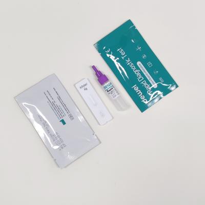 China Helicobactor H Pylori Antigen Rapid Test Cassette Feces Sample Rapid Test Kit for sale