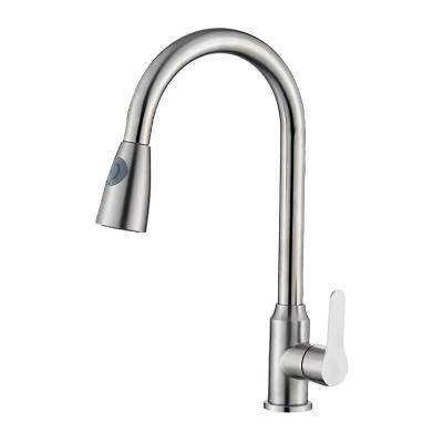 China Contemporary High Quality Lead Free Flexible 304SUS Pull Out Pull Out Spout Kitchen Faucet Faucet for sale