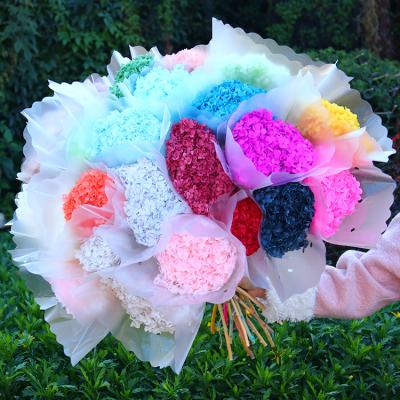 China 2021 Most Popular Dry Hydrangea Colorful Preserved Beautiful Ball Flower Rose Hydrangea Wedding Decor for sale