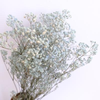 China High quality preserved natural flower gypsophila babies breath flower for wedding decoration for sale