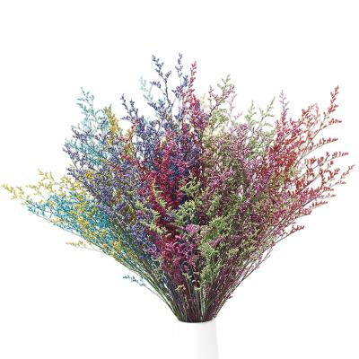 China Wholesale high quality luxury gift limonium dry preserved flower for wedding and home decoration for sale