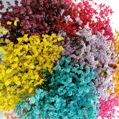 China Beautiful Colorful Factory Outlet Wholesale Dried Forever Preserved Crystal Grass Limonium For Wedding Decor for sale