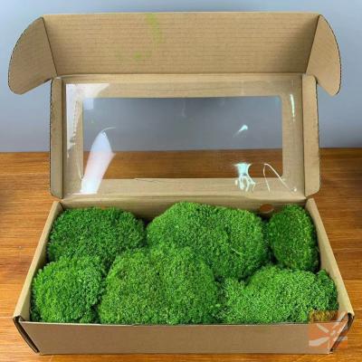 China Hot Selling Good Quality Ins. Event Decoration Hot Sale Preserved Flower Box Moss For Decor Home for sale