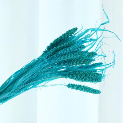 China The beautiful colorful artificial flower Yunnan produce the high quality dry flowers and foxtail dry flowers for home decoration for sale