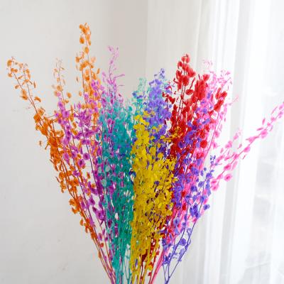 China Beautiful colorful hot sale Yunnan preserved flower cui fan dried lunaria annua flowers to wedding decor for sale