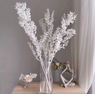 China Events Decoration Top Selling Dried Flowers Ruscus For Wedding Valentine's Day Gift Decor Shop Home Flower for sale