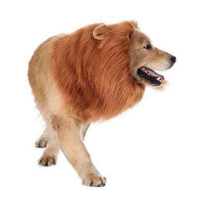 China Halloween Viable Pet Toys Lion Mane Complementary Dog For Dog Costumes for sale