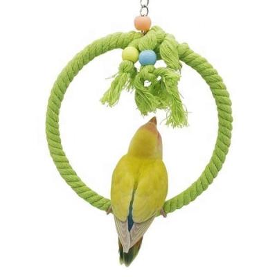 China Sustainable Funny Small Fittings Hanger For Parrot Birds Dangle Birds Play Toys for sale