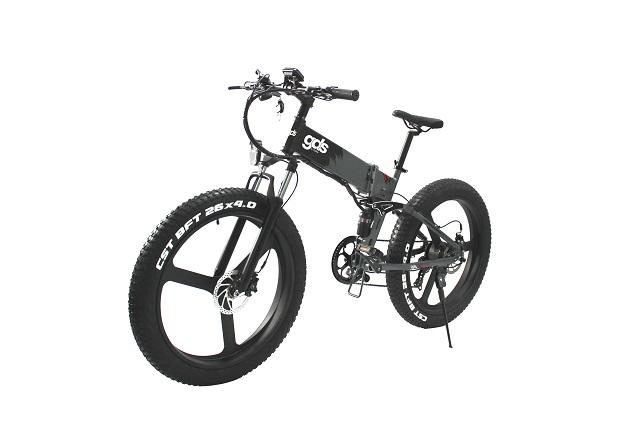 Verified China supplier - RALLY (Guangzhou) EBIKE CO., LTD.