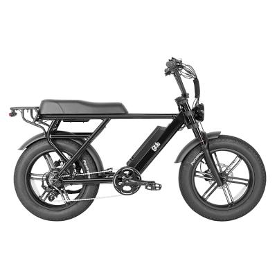 China Fat Alloy GDS Aluminum EBIKE/Electric Bike E-Bike E-Bike China-Electric-Bike Moped Bicycle for sale