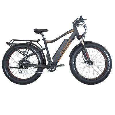 China Aluminum alloy 48V750W electric fat bike low hill electric mountain bike mtb 24v electric fat bike for sale