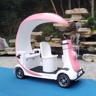 China 4 wielen Scenic Landscape Electric Adult Mobility Scooter Te koop