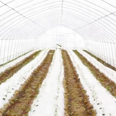 China Hot sale single-span greenhouse greenhouse tunnel nursery green house cover of fruit vegetable flowers with film for sale