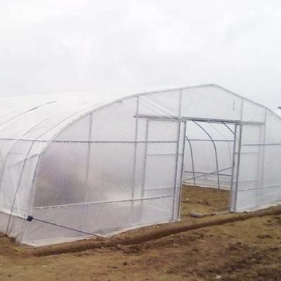 China Green Poly PE Plastic Film House For Cucumber for sale