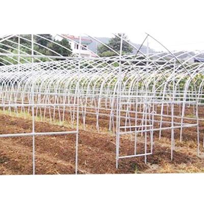 China Vegetable fruits flowers with long-life agriculture greenhouse waterproofing material garden greenhouse for sale