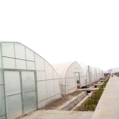 China Single Span PE Film Greenhouse With Irrigation System Green House for sale