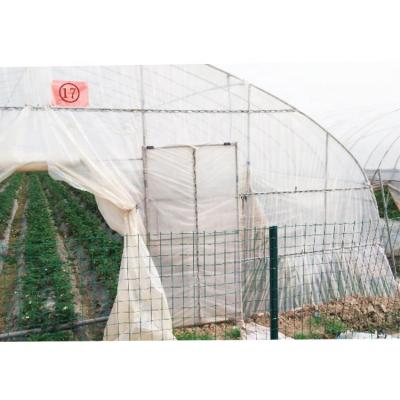 China High Quality Fruit Vegetable Flowers Pipes For 1 Greenhouse Waterproofing Material for sale