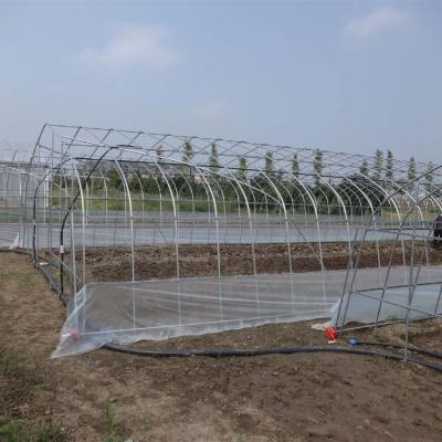 China Low price fruit vegetable greenhouse polytunnel frame pipe room green house factory for sale