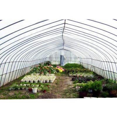 China Fruits Flowers Blackout Green House Leaf Green House Greenhouse Plastic Plastic Buildings Polythene for sale