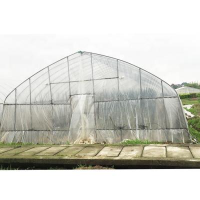 China Full Arch Type Fruit Vegetable Flower Hobby Grow Vegetable Green House Greenhouse for sale