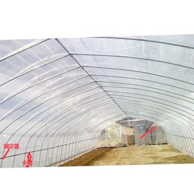 China Fruits Vegetable Flowers The Cheapest Single Span Film Greenhouse For Tomato for sale