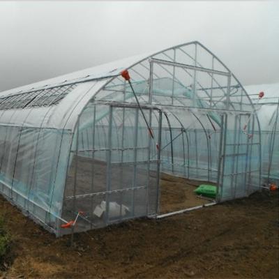 China Vegetable Fruits Flowers Heat Simple Green Plant Plant Greenhouse Greenhouse Preservation for sale