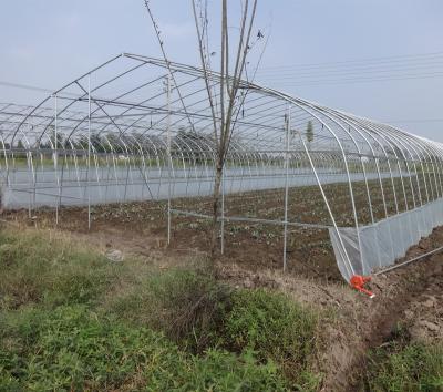 China PE factory price green house vegetable tunnel film greenhouse for sale