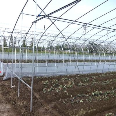 China Hot sale PE poly house agriculture plastic sheet fruit single span greenhouse for sale